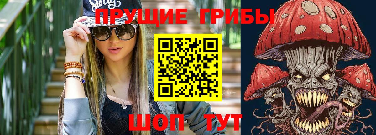 Псилоцибиновые грибы Psilocybe Киселёвск